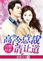 闪婚厚爱误嫁高冷总裁