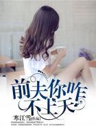 前夫你咋不上天笔趣阁