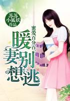 蜜爱百分百总裁追妻路漫漫免费阅读