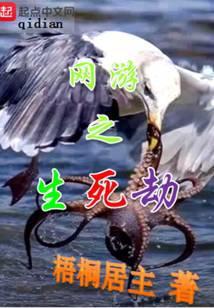 网游之生死劫123