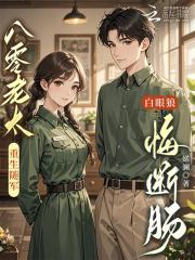 重生八零二婚妻随军内蒙