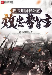 我是铁胆神侯