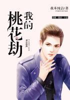 我的桃花劫什么意思