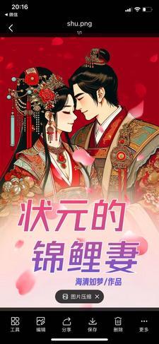 锦绣农门状元夫人爱种田