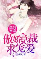 燃情秘爱总裁的头号新宠