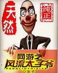 网游之风流浪子