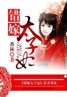 错嫁太子妃2完整攻略第九章