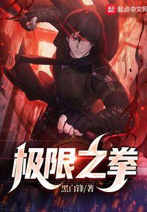 极限拳王