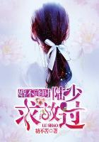婚不逢时陆少求放过免费阅读