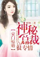 豪门神秘妻