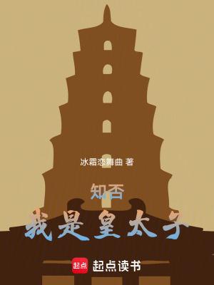 知否我是皇太子详情