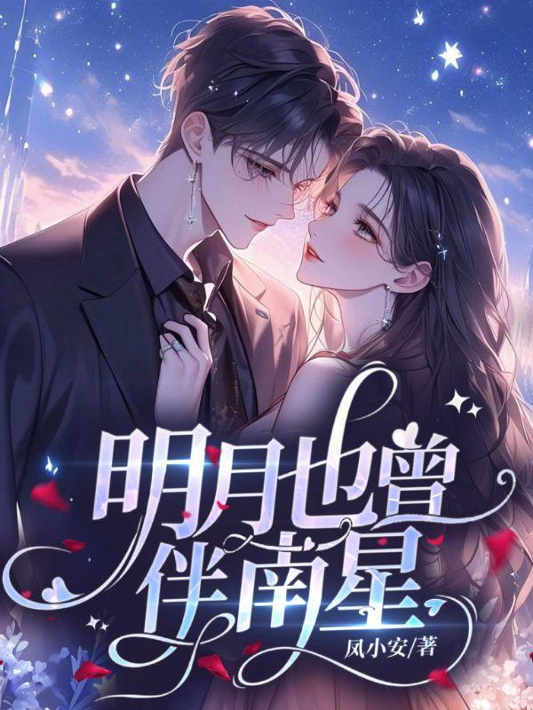 明月也曾伴南星结局