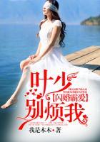 闪婚霸爱:叶少别烦我