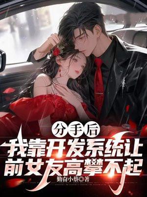分手后,我靠开发系统让前女友高攀不起