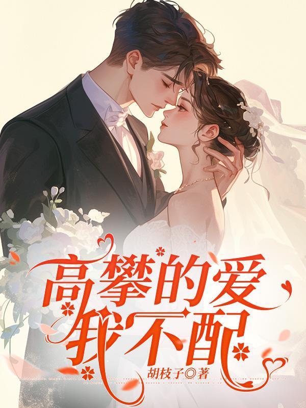 高攀的爱,我不配