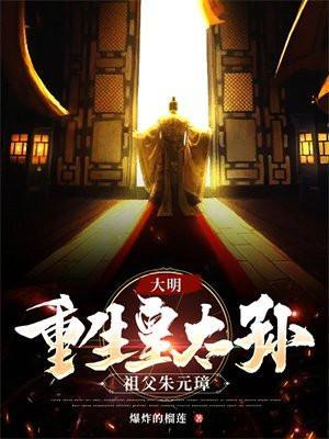 大明:重生皇太孙,祖父朱元璋