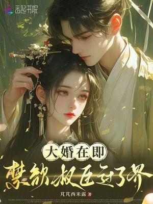 大婚在即:禁欲权臣过了界