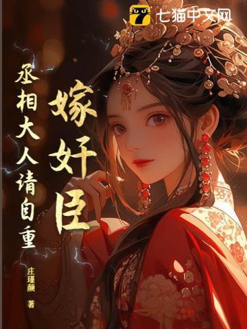 嫁奸臣:丞相大人请自重