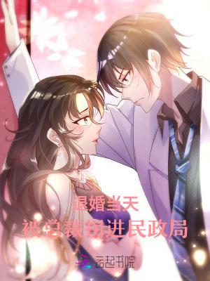 退婚当天,被总裁拐进民政局