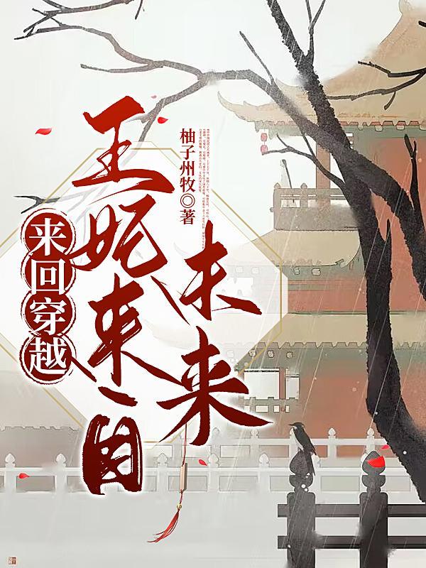 来回穿越,王妃来自未来