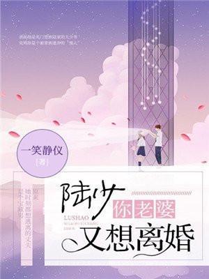 陆少,你老婆又想离婚