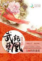 凤仪九天:武乾孽凰