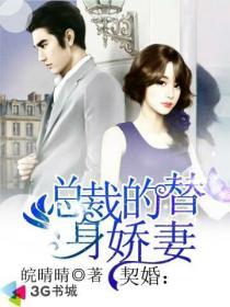 契婚:总裁的替身娇妻