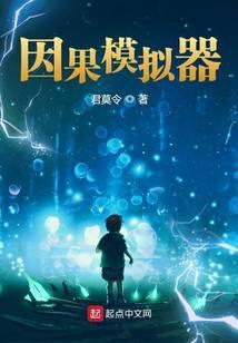 我的因果模拟器