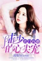 名门闪婚:陆少的心尖宠