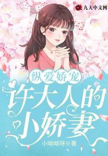 纵爱娇宠,许大人的小娇妻