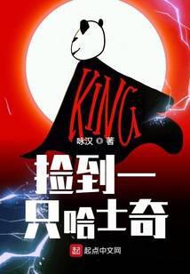 捡到一只哈士奇