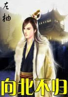 向北不归