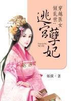 穿越医女倾乱世:逃宫孽妃