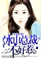 专宠虐爱:冰山总裁不好惹