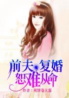 前夫,复婚恕难从命