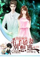 黑帝独宠,杀手娇妻别想逃