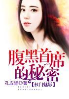 权门魅影，腹黑首席的秘密